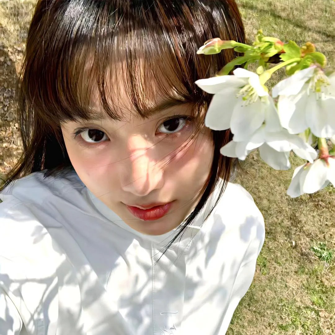 查科